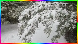 Волшебница зима Природа родного края❄️🎄❄️