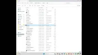 How to run the php code in c#