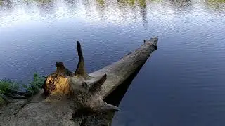 Озеро на виїзді з Трускавця у напрямку Борислава 31 серпня 2020 р.