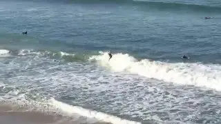 Surfer catches a nice wave