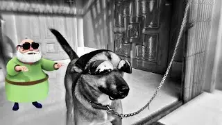 Tuku the dog 🐶 | Charo taraf sirf andheraa hi andheraa 🥸😵