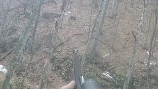 gopro Boar 2023 browning maral .300wm