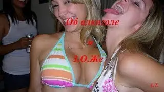 Об алкоголе и З.О.Же