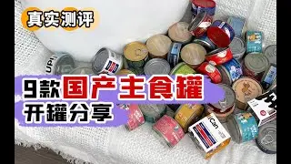 9款高性价比国产主食罐开罐分享