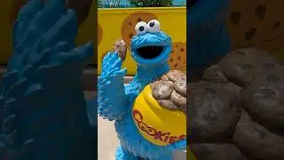 Free Cookie 🍪