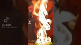 Вай любите Опыты 🔥 #дети #shorts