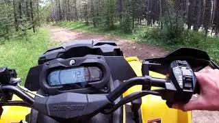Quading With Kids