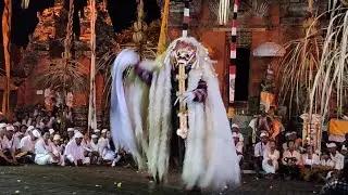 Sugra Ida Ratu mas sesuhunan Desa kelaci tedun Napak Pertiwi!! Pura Desa adat Mengwi!!