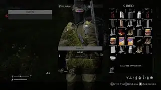 DayZ_20240908134309