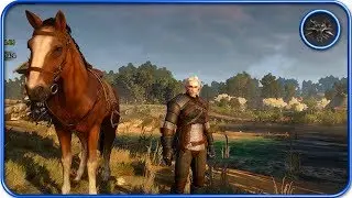 [Showcase] The Witcher 3 [Linux/Wine/Vulkan] 60fps+ high settings - openSUSE Tumbleweed