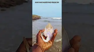 saving baby stingray fish 🌍🌊|| #shorts #sea #beach