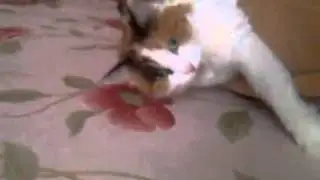 Пиздец как интересно