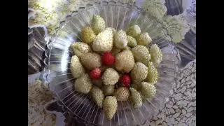 Земляника 