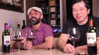 Vinho tinto de baixo custo vale a pena? Duelo Carménère: Gato Preto  X Concha y Toro Reservado