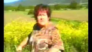 Uzbekistanian commercial