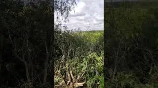 работа на высшем уровне.#ржакса #деревня #дача #врек #деревенскаяжизнь
