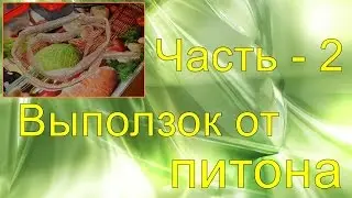 Выползок от питона. Часть - 2.