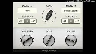 Mellotron 
