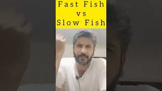 Fast Fish vs Slow Fish #supplychaindoctrine #supplychain #technology #srm #crm