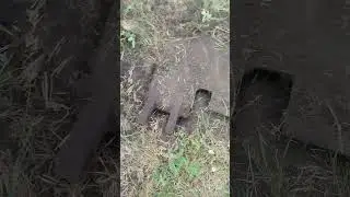 Привалило так привалило,бонус!