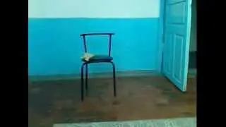BERALEX0001