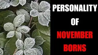 November Born personality - 1 Billion Tests