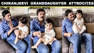 Chiranjeevi Granddaughter Navishka Cute Video - Chiru Song