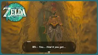 CONFUSING the Gerudo prison guard - Zelda: Tears of the Kingdom