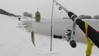 The feeder fishing in winter