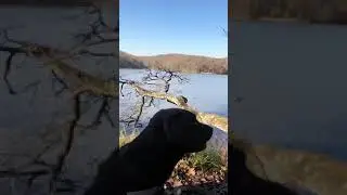 Однажды ты окажешься у моря, и оно унесет на своих волнах боль воспоминаний. 🌊😿