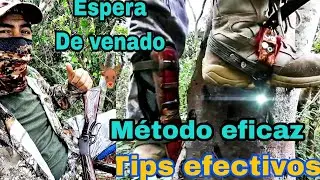 CLAVE DE ESPERA O VELADO DE VENADO EN SALITRERO COMO PREPARAR PUNTO DE ESPERA COMO SUBIR AL ARBOL