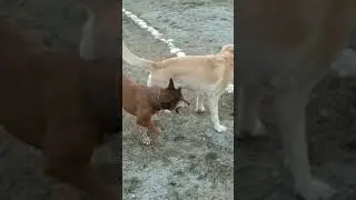 Нейрон и Джеська