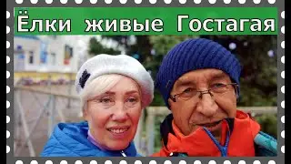 Снега и зимы нет, но ёлка есть!