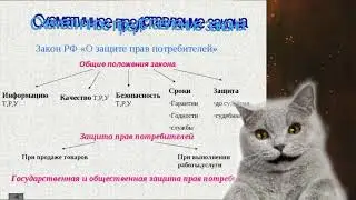 Как выбрать товар в интернете правильно
