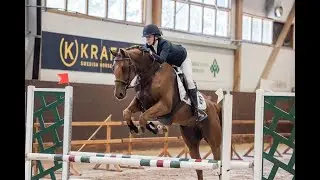 VM´s Tompa, Conthargos - For Feeling | fx | Gelding | 2017, 2021.06.20
