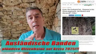 Ausländische Banden plündern Olivenhaine auf Kreta 2025!!!   Kreta/Crete 2025