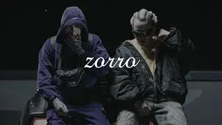 [FREE] SZPAKU x KUBI PRODUCENT Type Beat 2024 "Zorro"