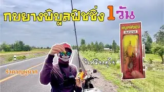 กบยาง พิบูลฟิชชิ่ง 1 วัน