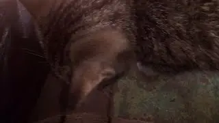 фильм спсение 1 серрия