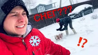 •VLOG• ШЛА 2 НЕДЕЛЯ ИЗОЛЯЦИИ...
