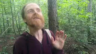 20190717 Поиск девочки для Сладиков