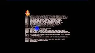 Using command on IPFire