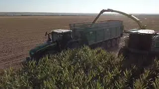 Robinson Farms 2021 Teaser