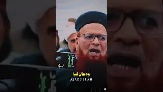 Power of islam Moulana taqi usmani