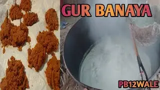 ajj asi gur banaya....how to make gur.. gur banaya...#pb12wale