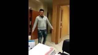 Concorso Pinguini a Zoomarine