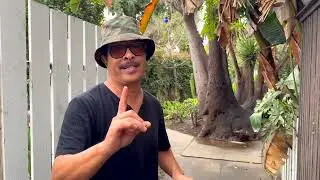Johnny Fukuda Venice Vortex