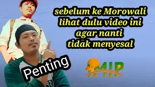 Sebelum Ke Morowali tonton dulu video ini agar tidak Menyesal.