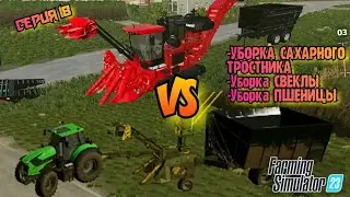 Уборка САХАРНОГО ТРОСТНИКА//Уборка СВЕКЛЫ//Уборка ПШЕНИЦЫ//Farming Simulator 23