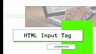 How To Take Input In HTML? | HTML 07